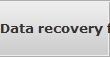 Data recovery for Pinellas data