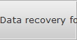 Data recovery for Pinellas data